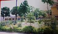 Gallery 1
